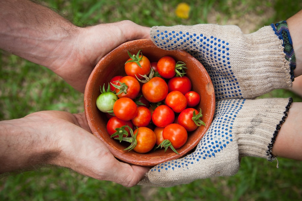 what-are-the-challenges-to-organic-industry