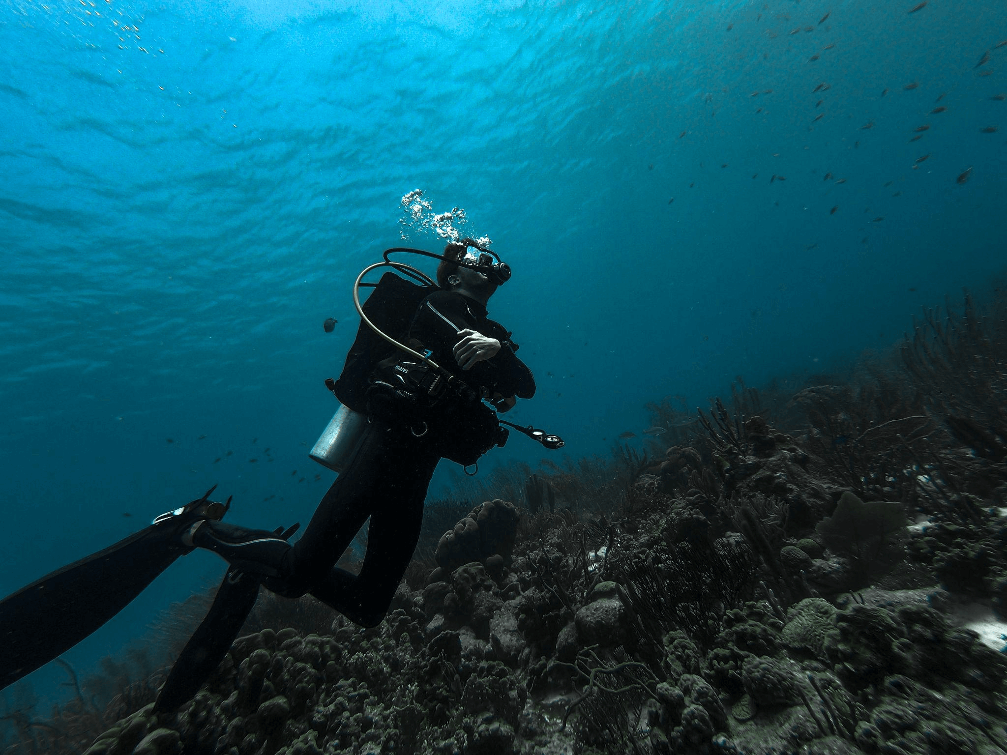 A Guide to Snorkeling and Diving Adventures