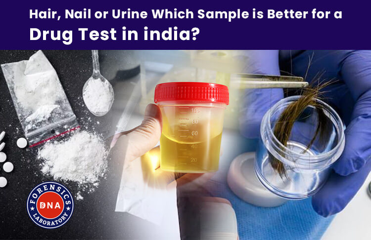 From Urine to Hair & Nails – Exploring the Different Types of Samples Used for Drug Tests in India!