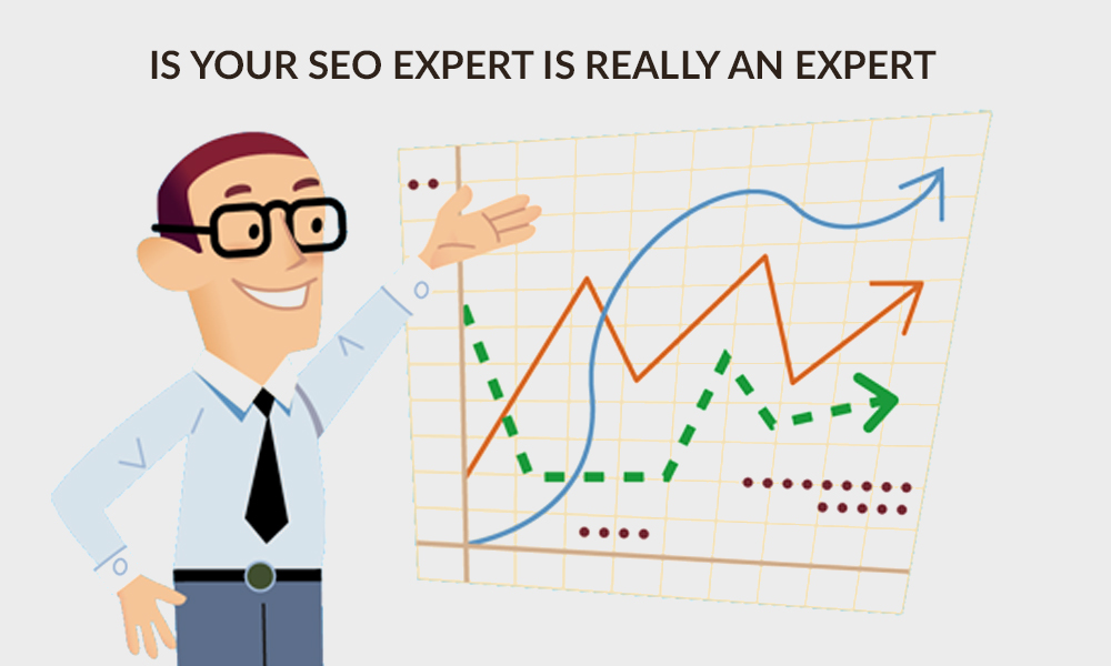 Is Your SEO Service Provider Really an Expert?