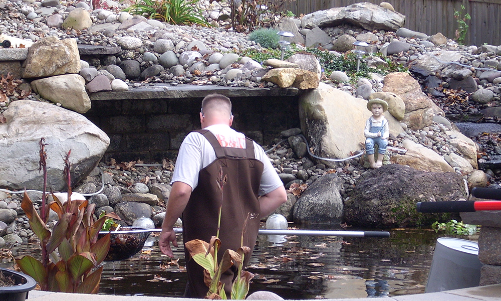 Availability of Ultimate Pond Cleaning Services in Melbourne