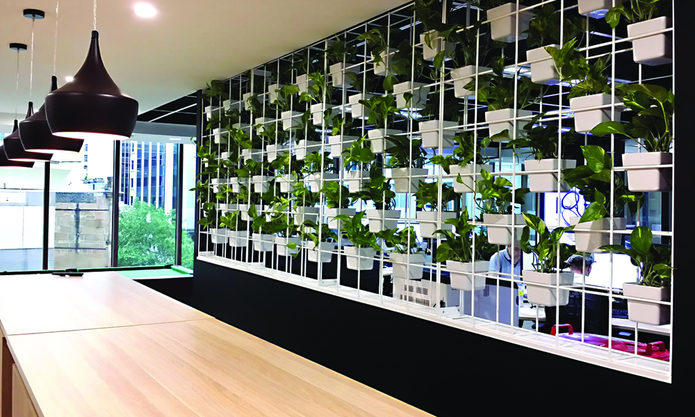 A Softer and Delicate Touch to Workplace, Plant Hires