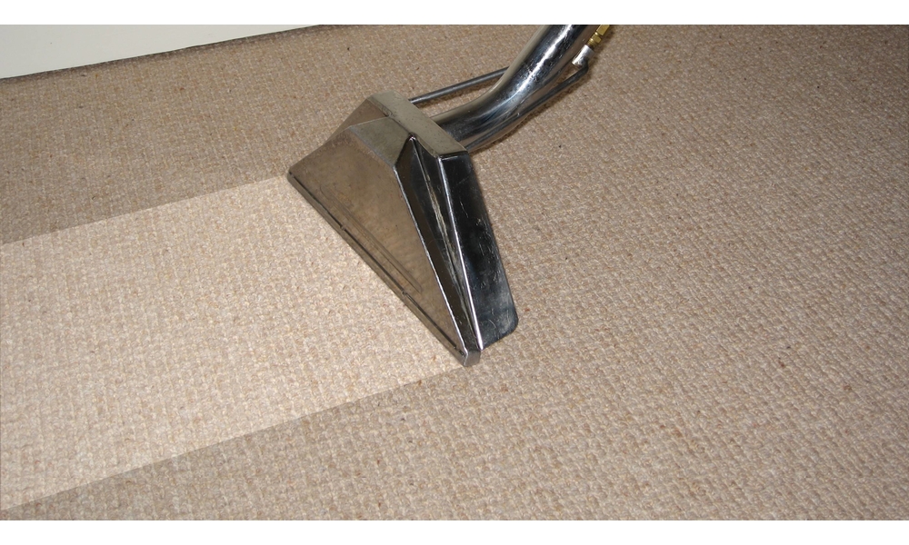 Cleaning Myths About Wet Carpets