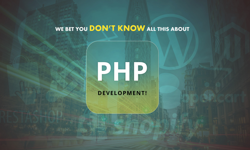 Nightmare of Other Web Development Languages: PHP