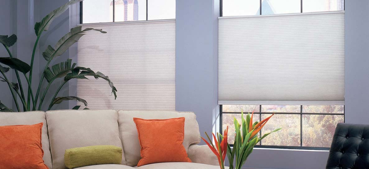 Inferior Your Liveliness Ingestion by Honeycomb Blinds