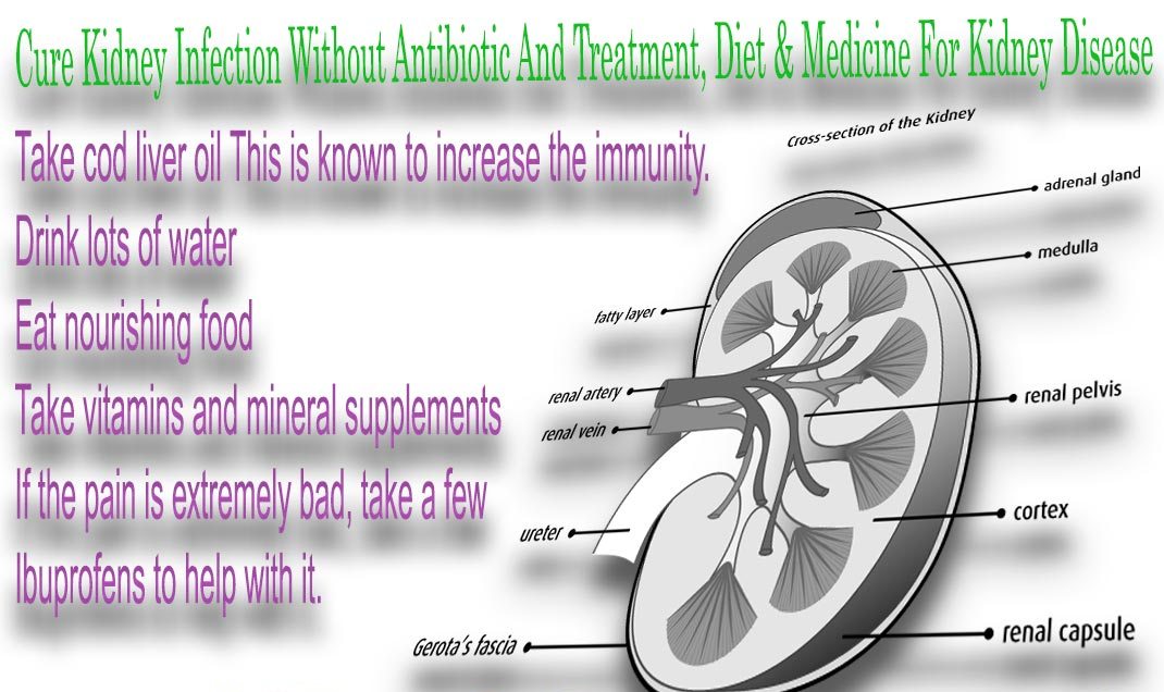 How to know when your kidney has failed and how to treat with ayurveda?