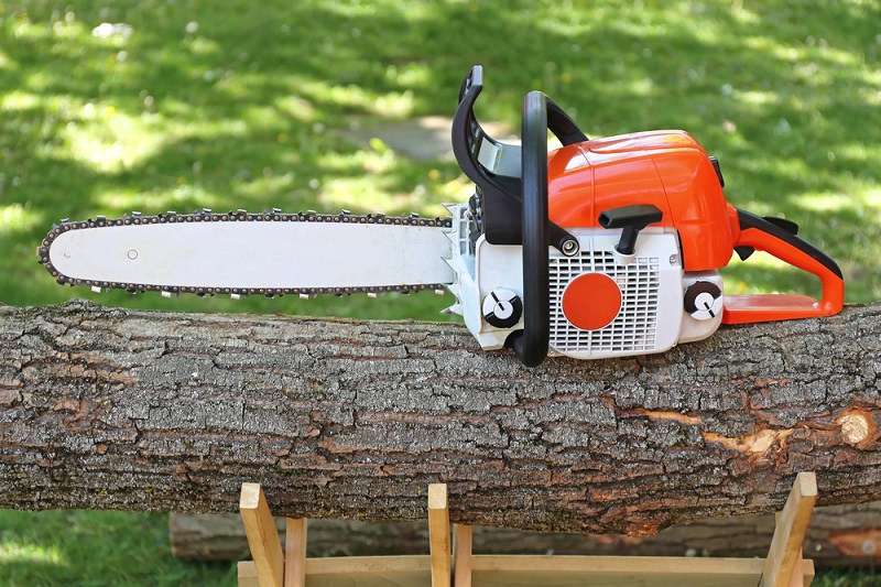 Tree Removal Services: Using the Best Techniques