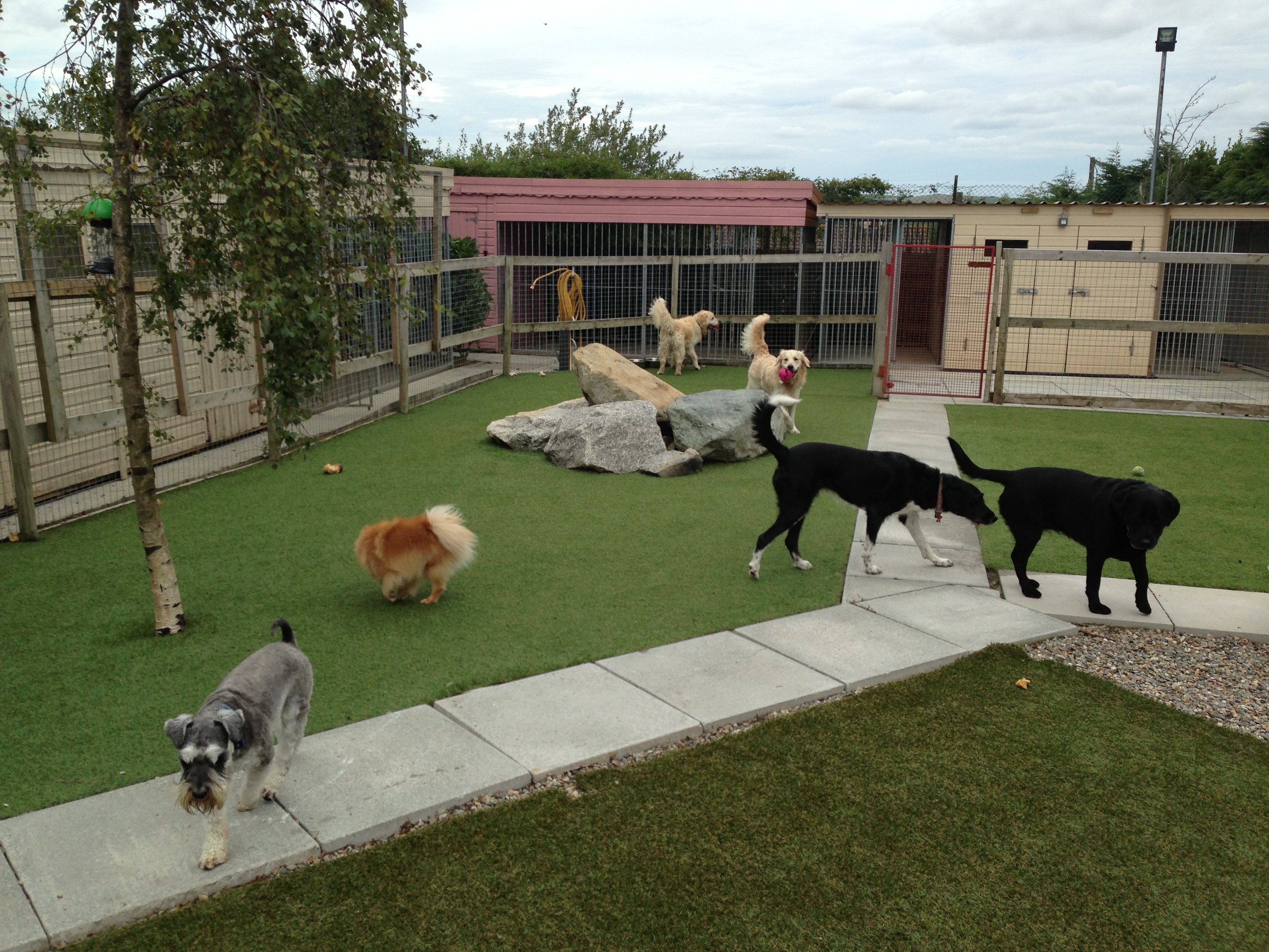 How to Select the Best Pet Boarding Facilities