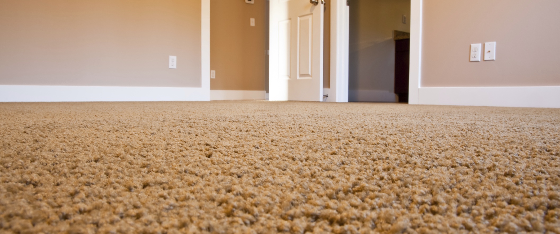 Find the Best Professional Carpet Cleaners