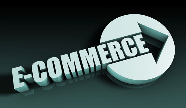 How to Use Ecommerce and Website Development Services for Enhanced Business Growth