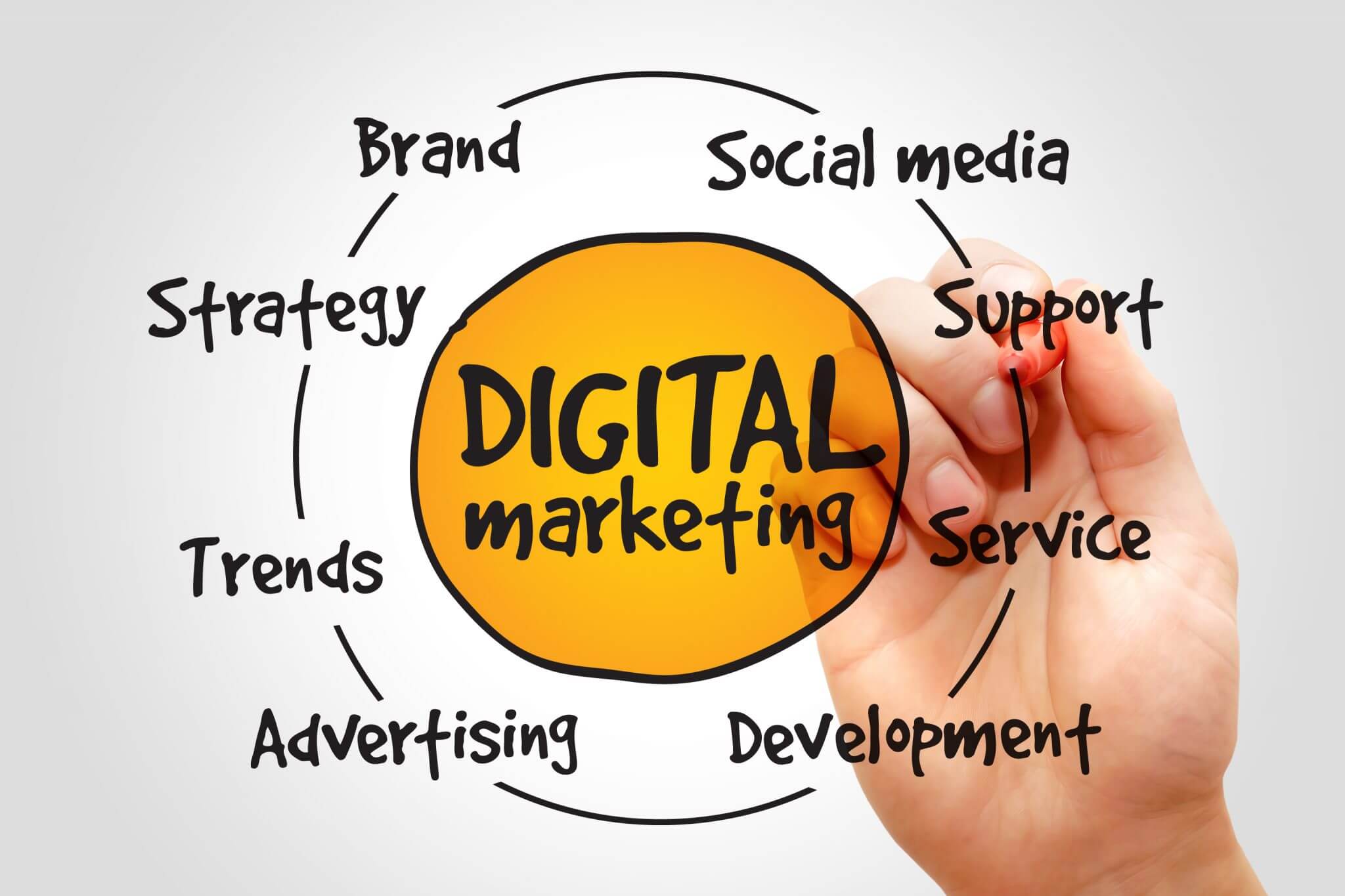 The Emergence of the Digital Marketing Service Provider