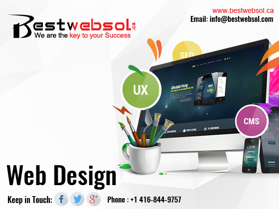 Know the World of Professional Web Designing