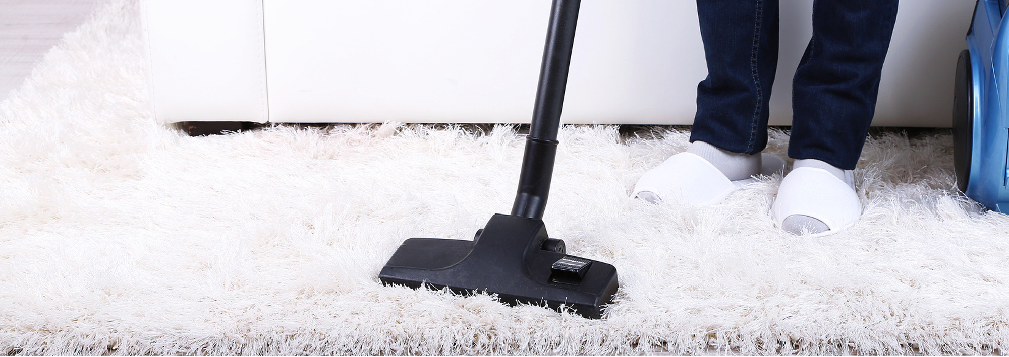 Standard Contract for Carpet Cleaning Services