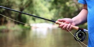best-fly-rods