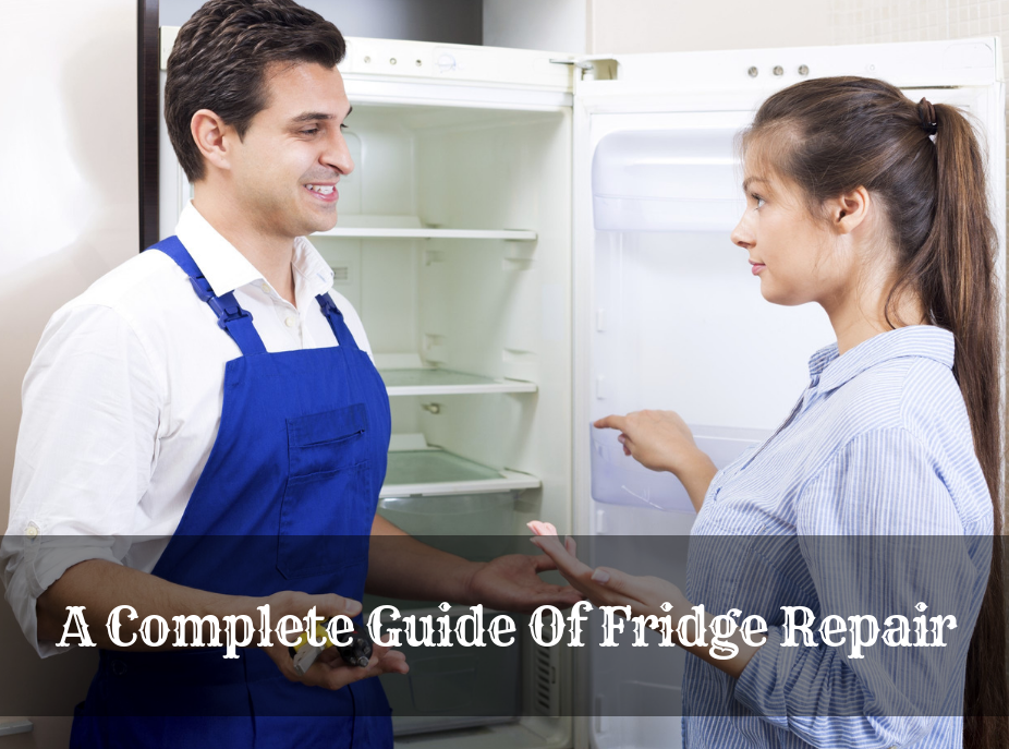 Frigidaire Refrigerator Repair, Thermoregulation Repair
