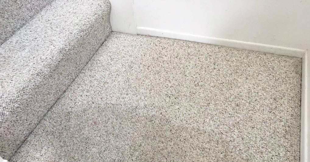 Hire a Reputable Carpet Cleaner