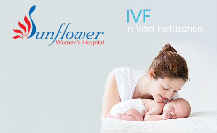 IVF Treatment Process to Cure Your Infertility Problems