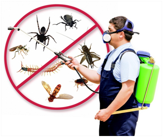 Pest Control Must Be Part of our Healthy Lifestyle Regimen
