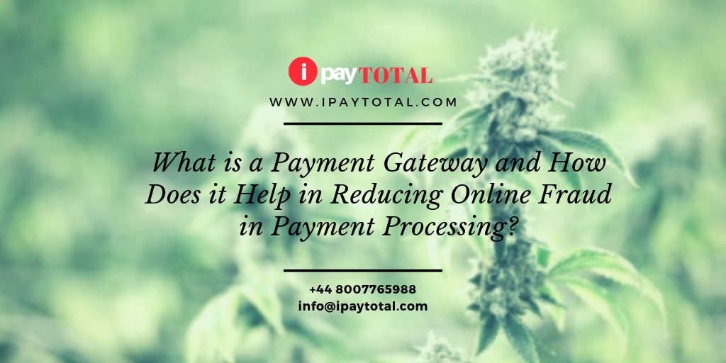 What is a Payment Gateway and How Does it Help in Reducing Online Fraud in Payment Processing?