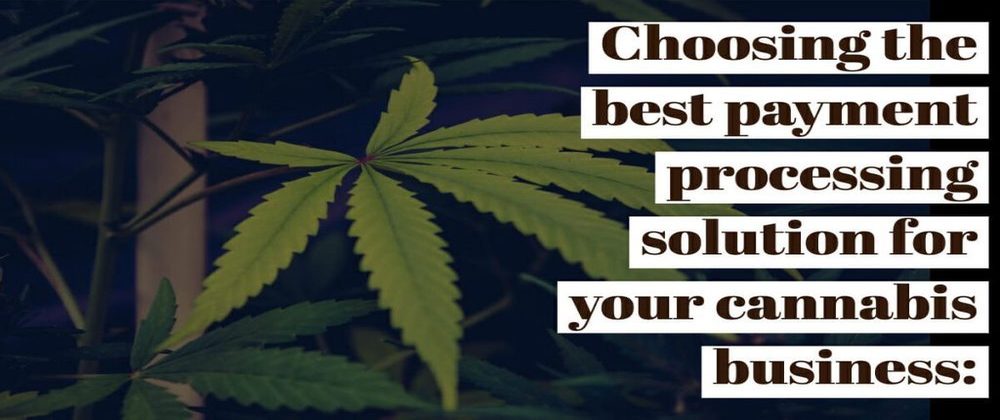 Choosing the Best Payment Processing Solution for Your Cannabis Business