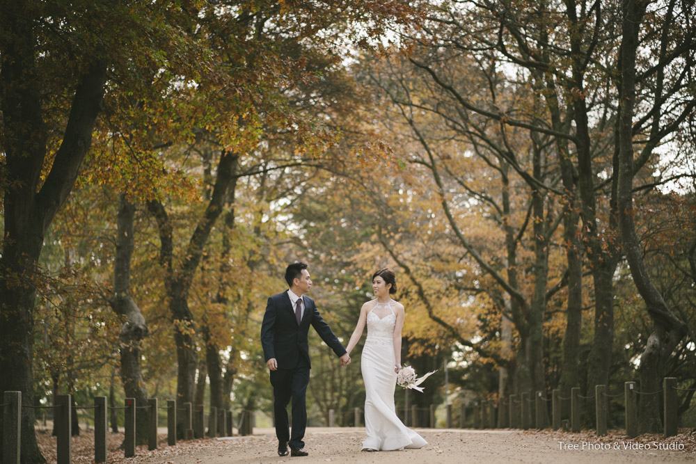 Traditional Wedding Photography