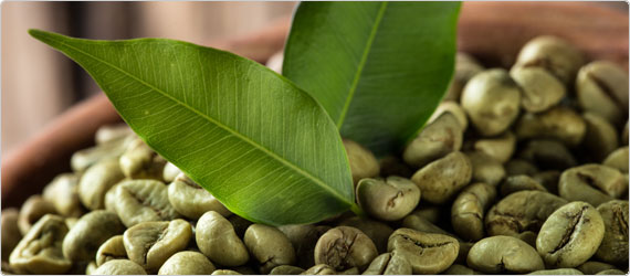 Green Coffee Beans – A Healthy Alternative for Weight Loss