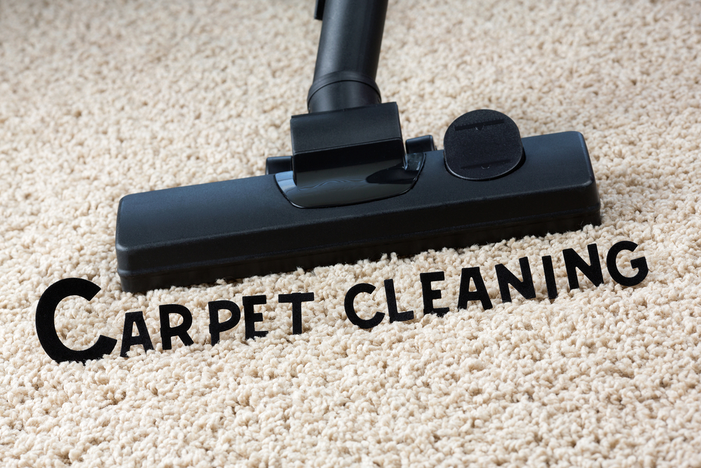 Get Exclusive Cleaning Solutions for Carpet Cleaning