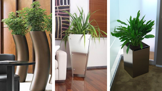 Office Plants for hire helps you grow you and your office