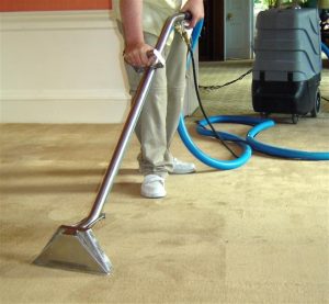 Best Carpet Cleaner 