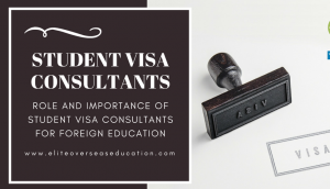 Best visa Consultant in patiala