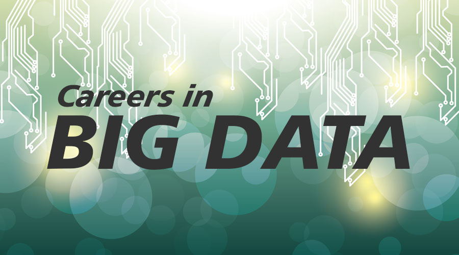 Making it Big in a Big Data Career