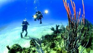 snorkelling top things not to do In perhentian islands malaysia