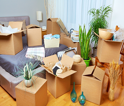 Relocate Entire Household Goods. Proven Ideas!!