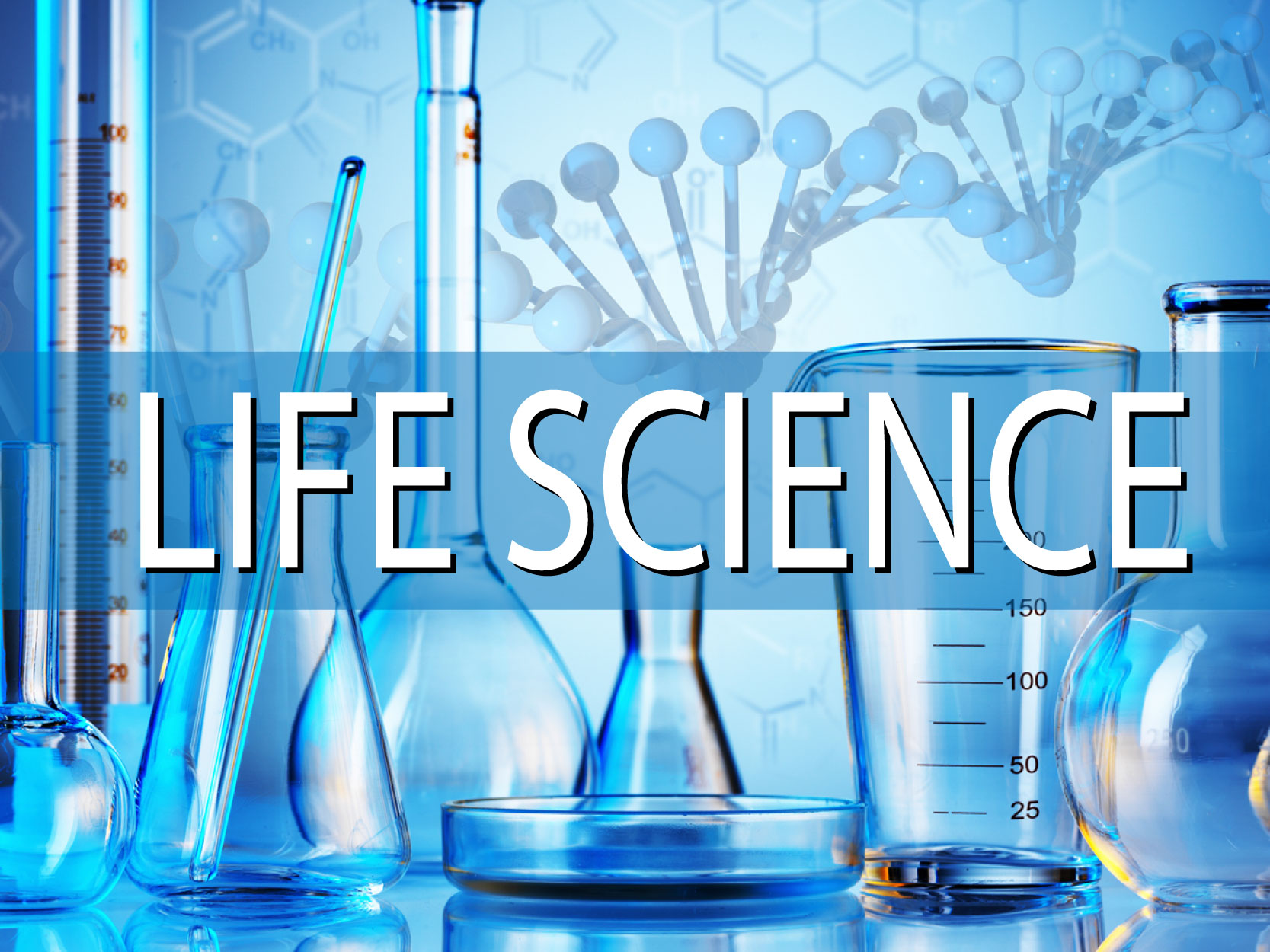 How To Empower Your Career Through Life Science?