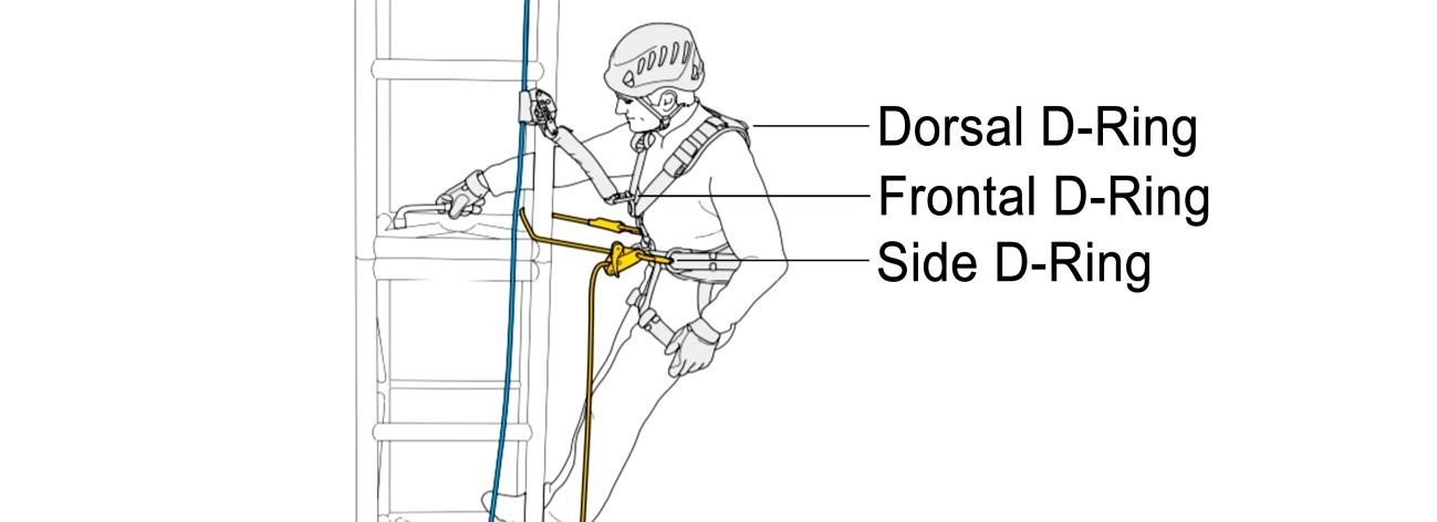 Point Harness