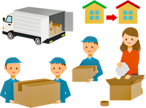 Professional movers and packers