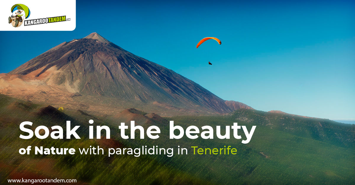 Rejoice Yourself With Tandem Paragliding In Tenerife