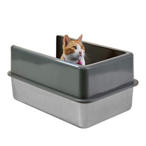 litter box