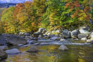 Small stream with stones