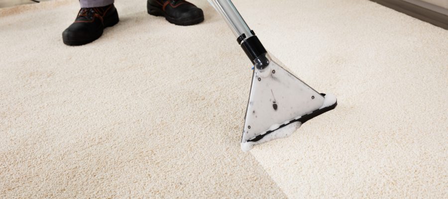 Determine 3 Ways to Take the Carpet Cleaning Business to Next Level