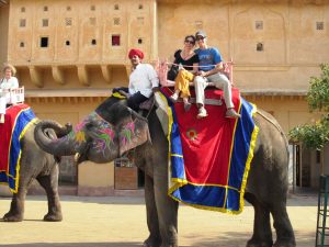 elephant-ride-in-jaipur