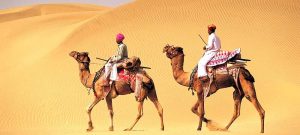 camel-safari-tour-packages