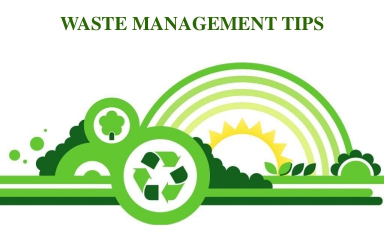 Four Waste Management Tips for Businesses