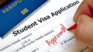 Know About How to Apply for Student Visa 500
