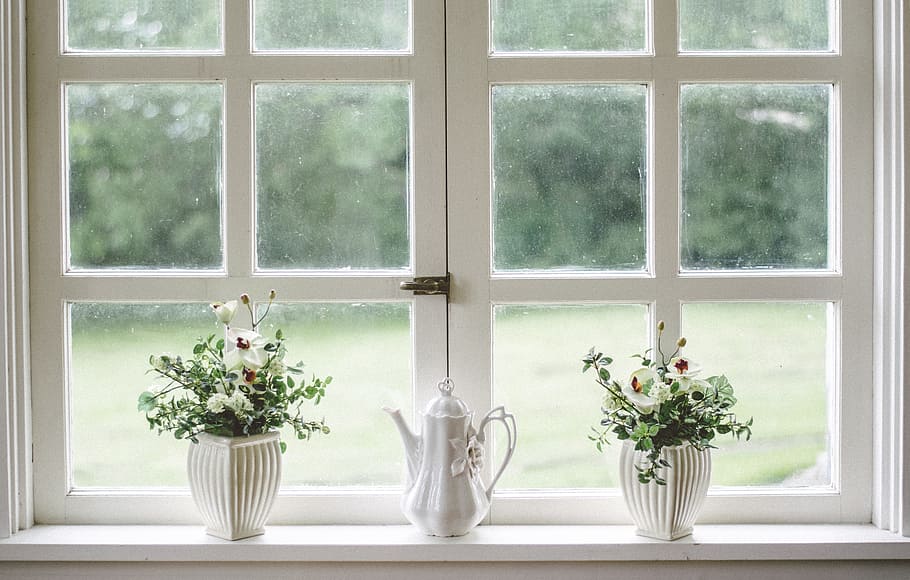 The Lives Within: 7 Benefits of Having Indoor Plants at Home