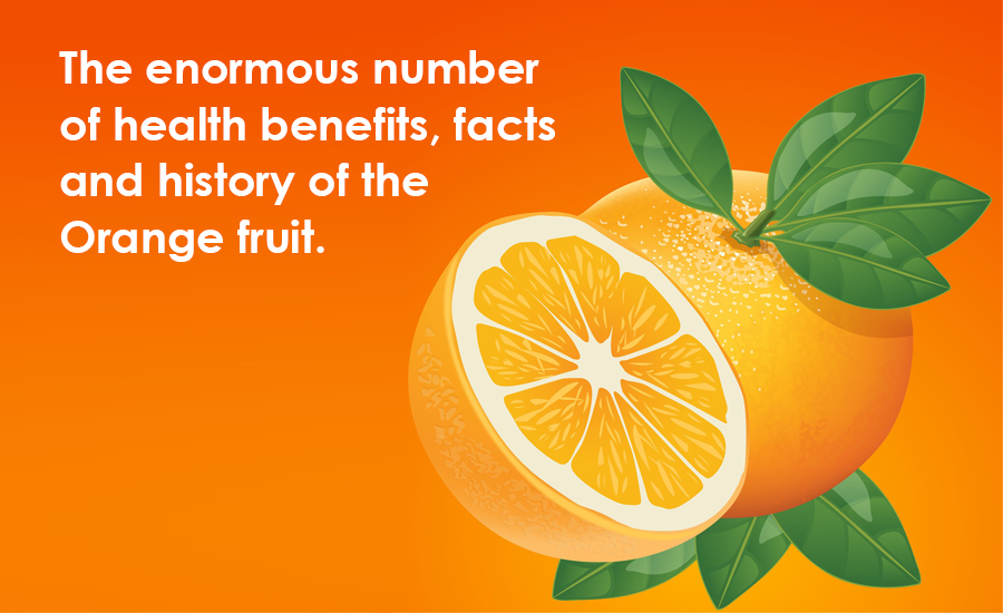 The Enormous Number of Health Benefits, Facts, and History of the Orange Fruit
