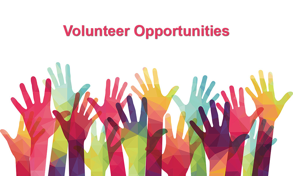 12 Volunteer Opportunities For Teens In 2020