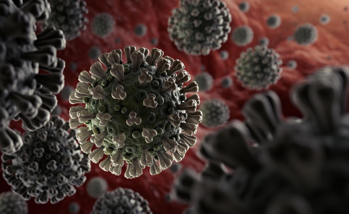 Information You Must Know About Coronavirus