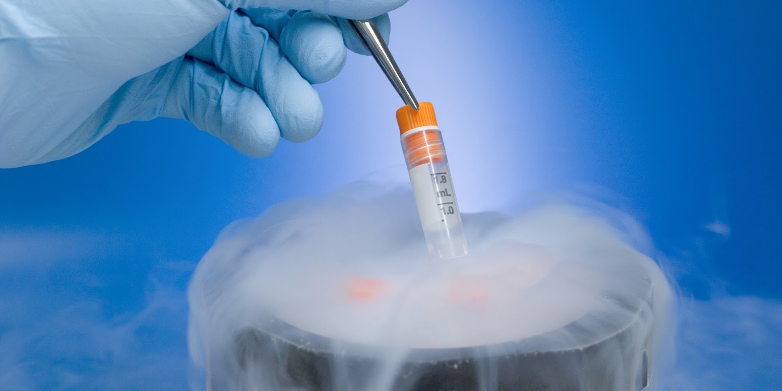 ART of Egg Freezing: Freeze for your own Future