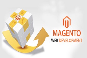 Work with 1Digital Agency as Your Magento Development Company